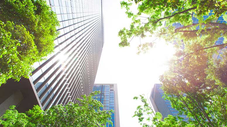 Business-towers-and-Green-leaves-000065586751_Large.jpg