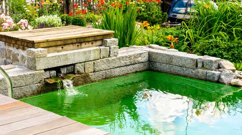 Beautiful-garden-pool-wooden-patio-flowers-turquoise-water-000022290309_Large - Copy.jpg
