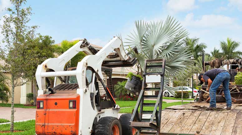 Landscaping-truck-with-tropical-plants-000025455310_Large - Copy (2).jpg