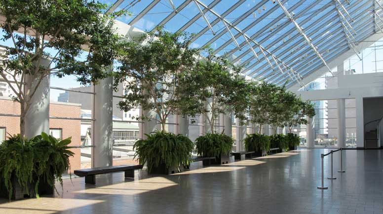 The Essentials of Interior Plantscaping for Your Building in Philadelphia