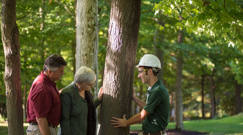 A-Certified-Arborist-can-help-you-proactively-inspect-your-trees.jpg