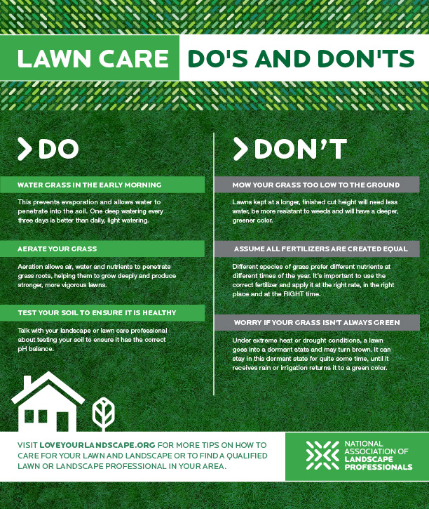 summer lawn care