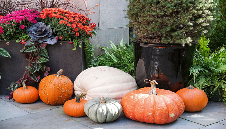 front porch