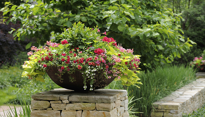 design outdoor flower containers