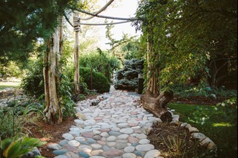 Zen Garden Ideas: Transforming Your Backyard for Inner Peace